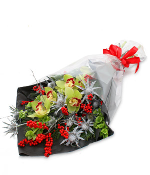 click here to view other pictures