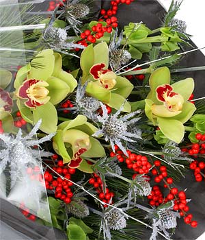 click here to view other pictures