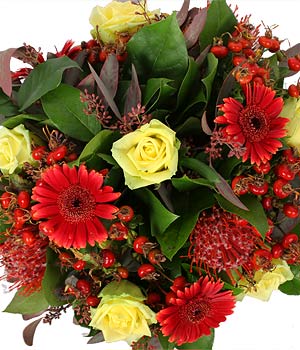 click here to view other pictures