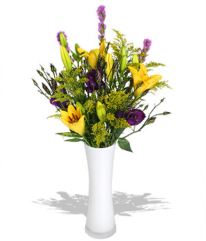 click here to view other pictures