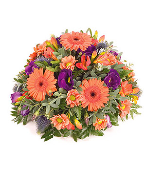 click here to view other pictures