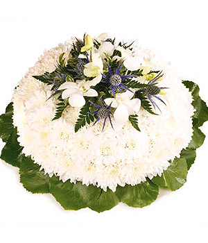 click here to view other pictures