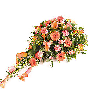 click here to view other pictures