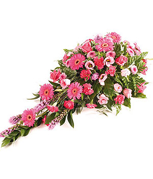 click here to view other pictures