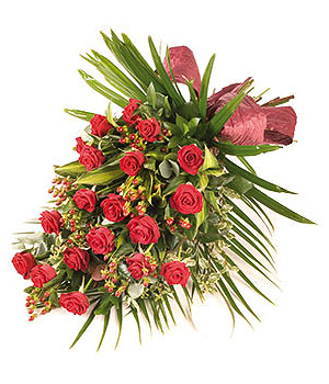 click here to view other pictures