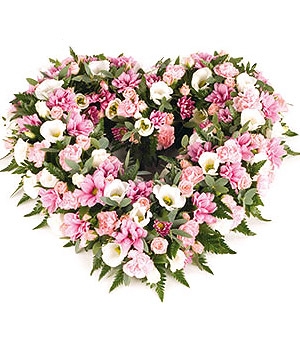 click here to view other pictures