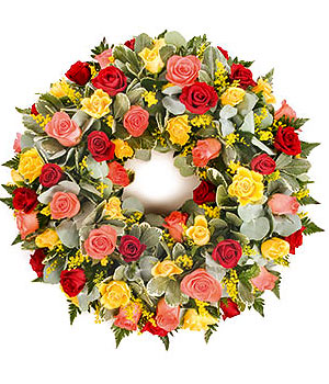 click here to view other pictures