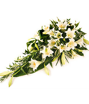 click here to view other pictures