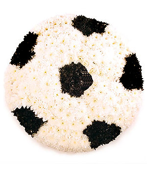 click here to view other pictures