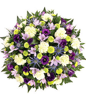 click here to view other pictures