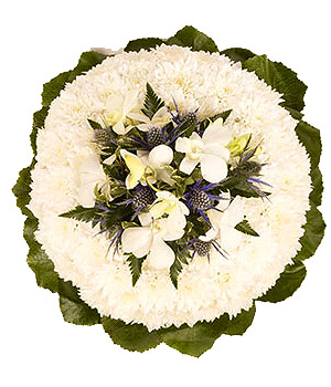 click here to view other pictures