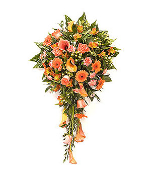 click here to view other pictures