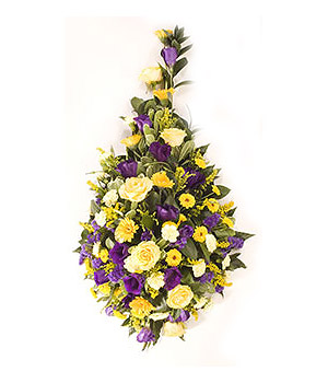 click here to view other pictures