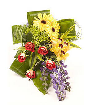 click here to view other pictures