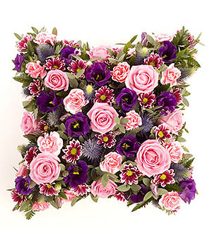 click here to view other pictures