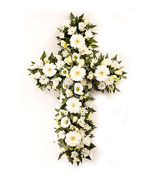 click here to view other pictures