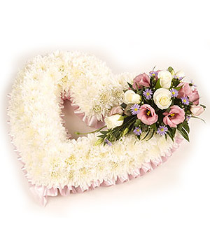 click here to view other pictures