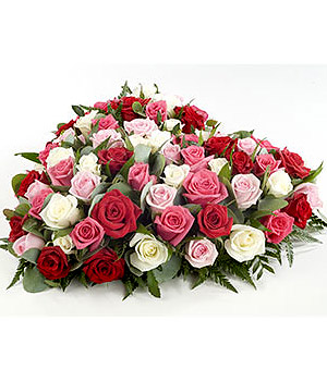 click here to view other pictures