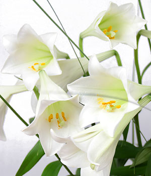 click here to view other pictures