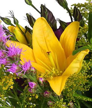 click here to view other pictures