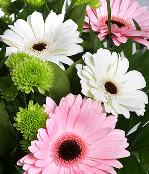 click here to view other pictures