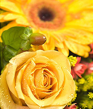 click here to view other pictures