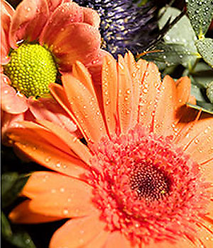 click here to view other pictures