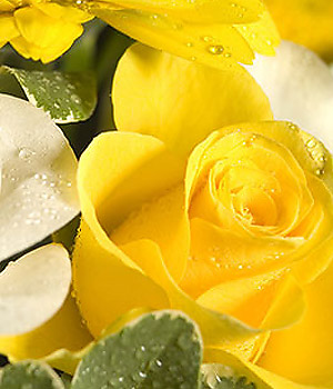 click here to view other pictures