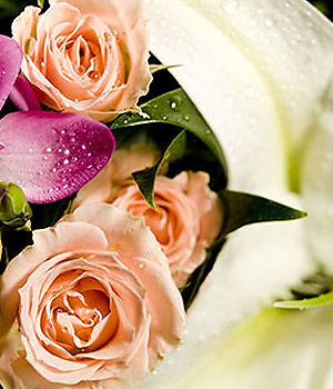 click here to view other pictures