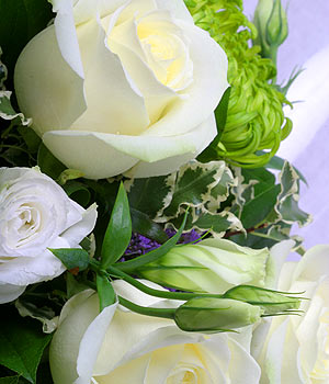 click here to view other pictures