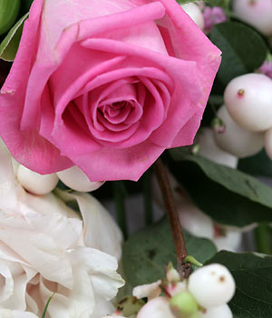 click here to view other pictures