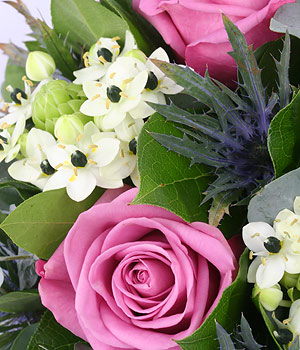 click here to view other pictures