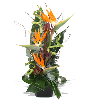 click here to view other pictures