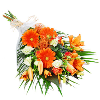 click here to view other pictures