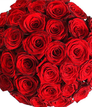 click here to view other pictures