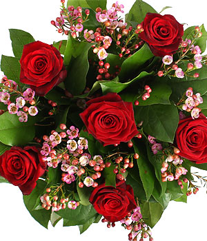 click here to view other pictures