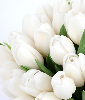 click here to view other pictures