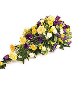 Blue and Yellow spray