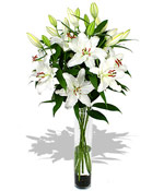 White Lillies