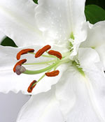 click here to view other pictures