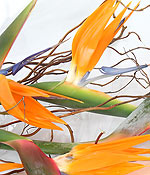 click here to view other pictures