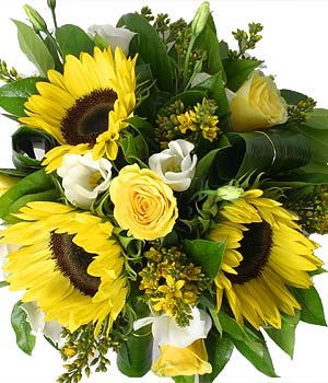 click here to view other pictures