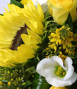 click here to view other pictures