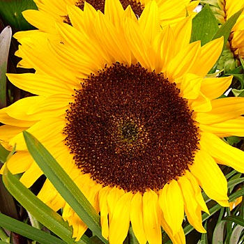 click here to view other pictures