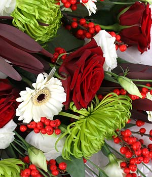 click here to view other pictures