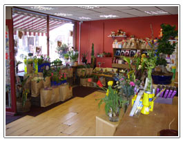 Penny Lane Flowers - Liverpool Shop Interior
