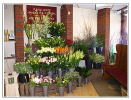 Penny Lane Flowers - Liverpool Shop Interior